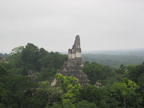 11-tikal