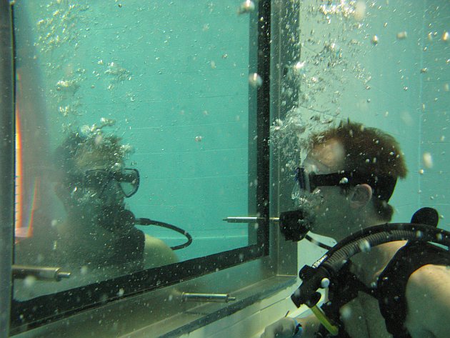 nemo33-reflectie
