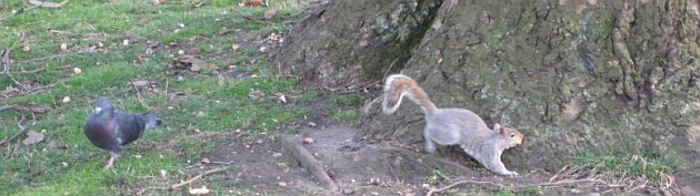 stjamespark stjamespark