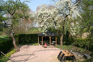 tuin_voorjaar