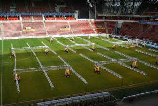 Veld PSV