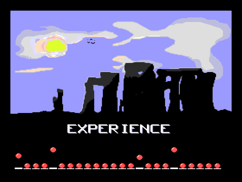 Experience