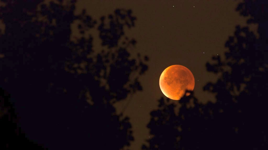 Super Bloodmoon (2015-09-28) (c) Leander Bohms