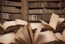 Boek over OSM en Gamebasics in de maak OSM Boek